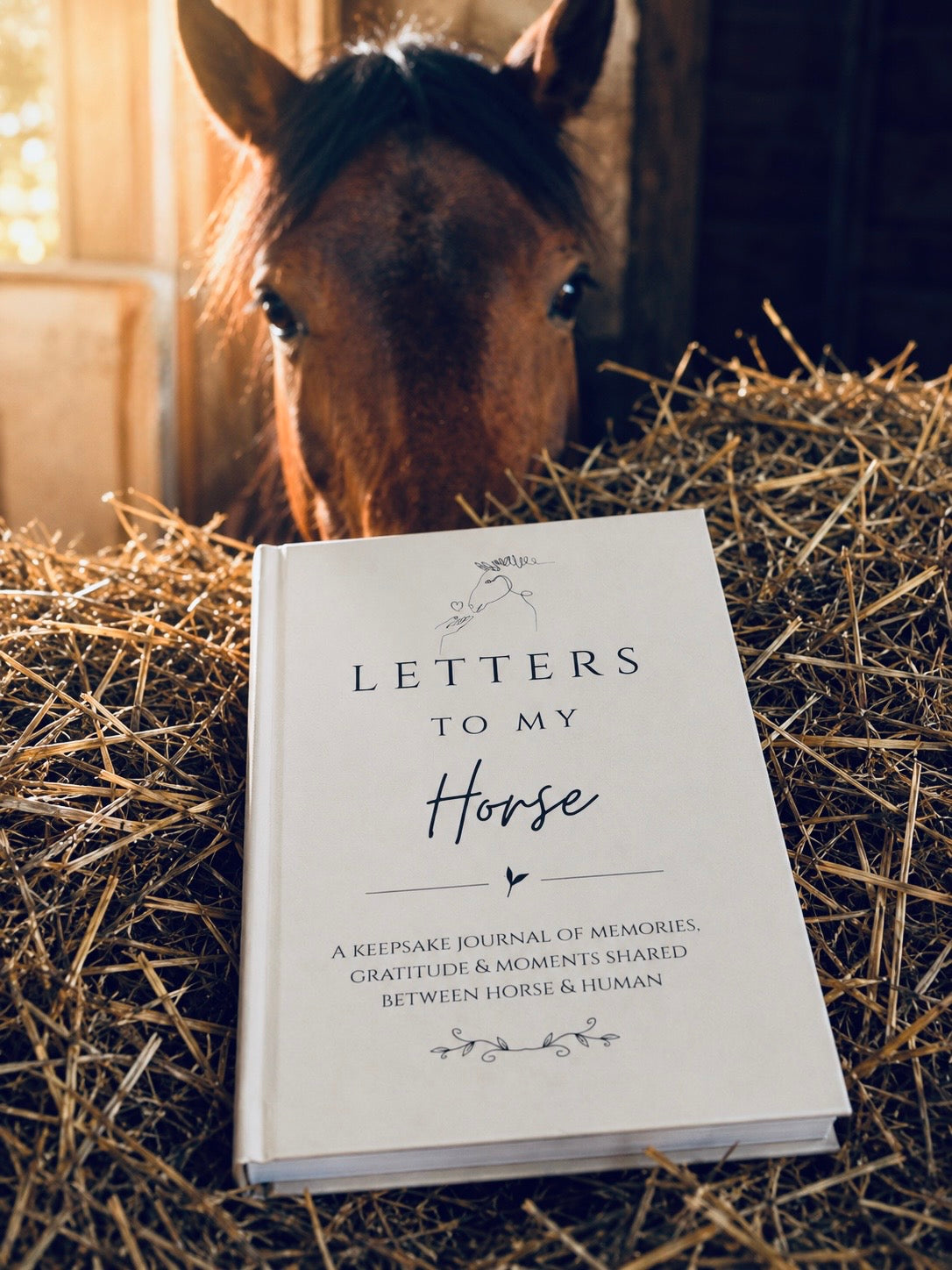 Letters To My Horse Guided Keepsake Journal